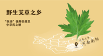 艾草越嫩越好，還是越久越好？悄悄告訴你：艾草這樣用，效果最好！
