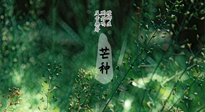 【二十四節(jié)氣灸】芒種節(jié)氣，培土補脾、養(yǎng)陰生津！艾灸這些穴位事半功倍！