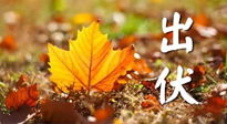 【三伏養(yǎng)生】出伏后做好養(yǎng)生很關(guān)鍵！一行要注意！