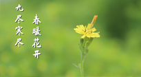 【九九養(yǎng)生】三月四日“九九日”，寒冬已過。春天養(yǎng)好身，全年不怕病！