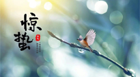 【二十四節(jié)氣灸】驚蟄節(jié)氣，艾灸喚醒抵抗力、補充陽氣的最好時機！