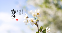【二十四節(jié)氣灸】春分，平分了大地晝夜；艾灸，平衡了身體陰陽！
