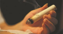 【艾灸知識(shí)】春暖花開，衣衫漸薄，再不減肥，身上的肉肉可藏不住了！