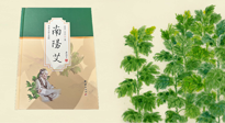【行業(yè)資訊】國內(nèi)首部艾草專著《南陽艾》，在南陽新書首發(fā)！
