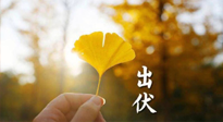 【艾灸三伏天】出伏啦！三防三宜兩穴位，防止身體“秋后算賬”！