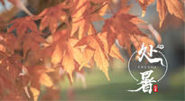 【二十四節(jié)氣灸】處暑，冬病夏治倒計時！秋涼真的要來了！