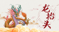 【龍?zhí)ь^】二月二，龍?zhí)ь^，健康養(yǎng)身，為身體打好基礎(chǔ)！