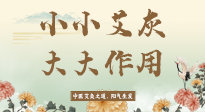 【艾草知識】艾灰真是個巨好用的東西，?它的神奇功效，你知道多少？