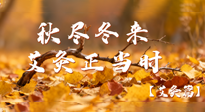 【健康/艾灸】秋盡冬來，艾灸正當(dāng)時(shí)——解鎖季節(jié)交替的養(yǎng)生密碼！
